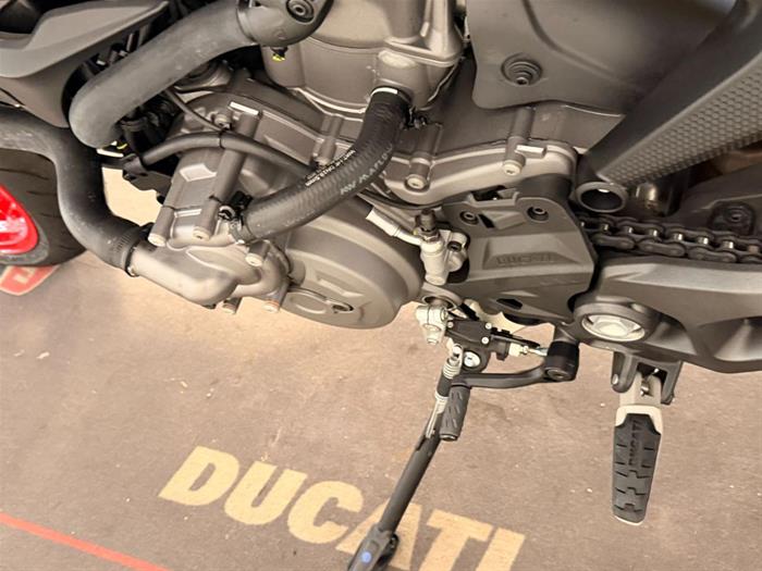 Ducati Vicenza - DUCATI Monster 937 | ID 40675