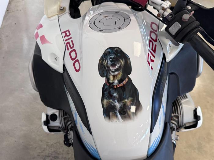 Ducati Vicenza - BMW R 1200 GS Adventure | ID 41387