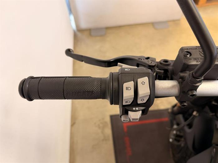 Ducati Vicenza - DUCATI Scrambler 800 | ID 41411