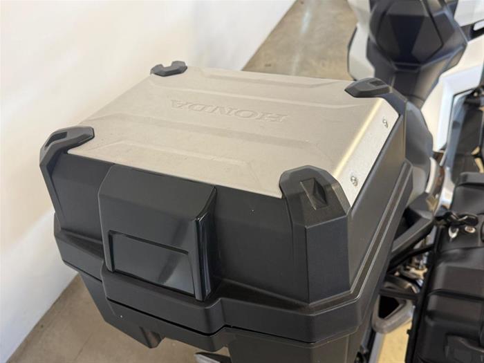 Ducati Vicenza - HONDA X-ADV 750 | ID 41412