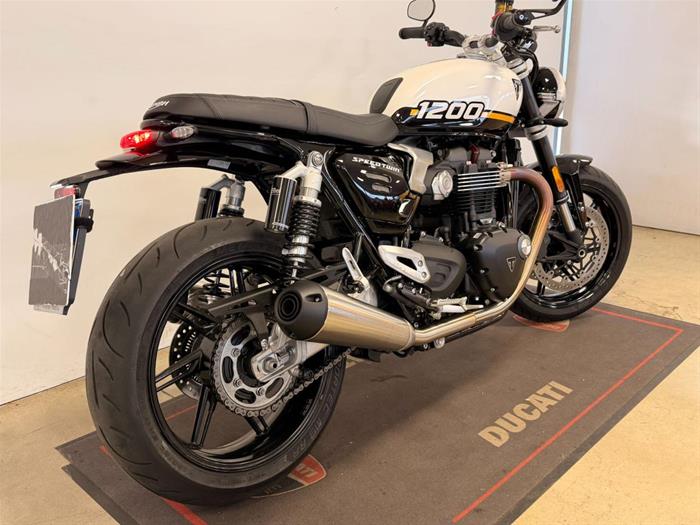 Ducati Vicenza - TRIUMPH Speed Twin | ID 41429